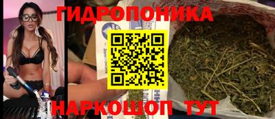 молекула духа Кулебаки